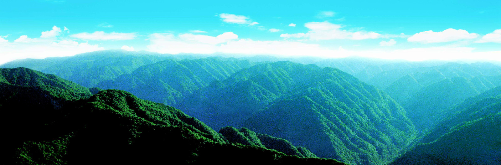 企業(yè)文化